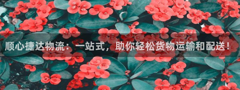 28圈官方网站是多少：顺心捷达物流：