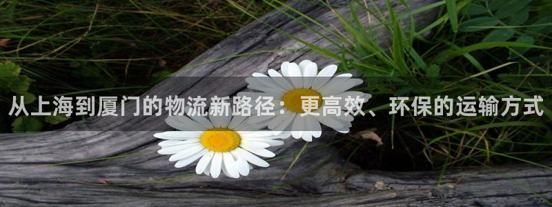 28圈ip被限制怎么解决：从上海到厦