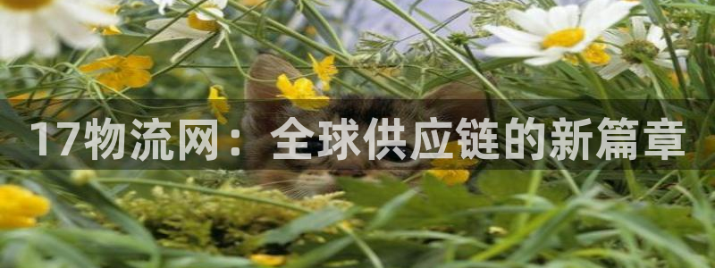 28圈正规吗?：17物流网：全球供应