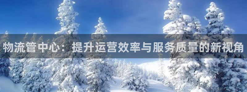 28圈ip被限制怎么解决：物流管中心