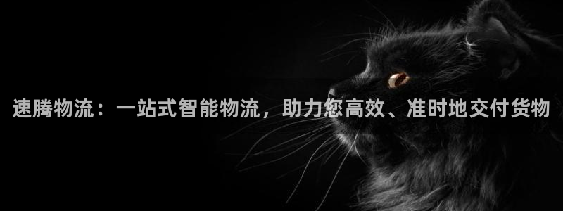 28圈注册问一问：速腾物流：一站式智