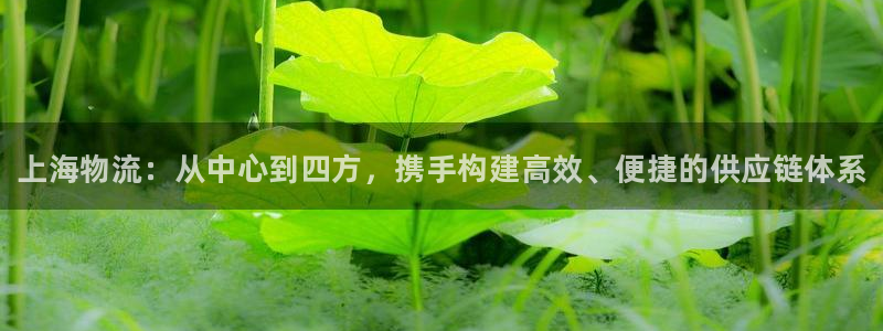 28圈头像：上海物流：从中心到四方，