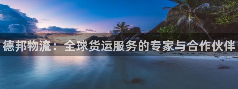 28圈登录用户名登录不上：德邦物流：