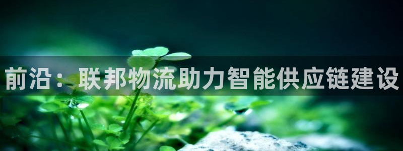 28圈官方平台：前沿：联邦物流助力智
