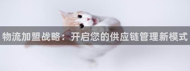 28圈可靠吗：物流加盟战略：开启您的