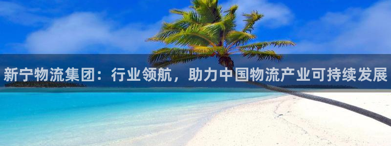 28圈自行车图片：新宁物流集团：行业