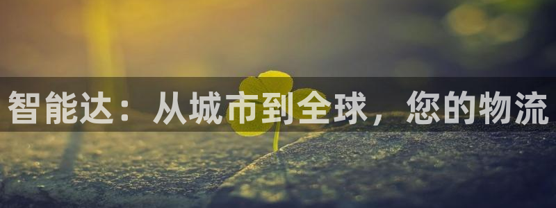 28圈加拿大能提现吗：智能达：从城市