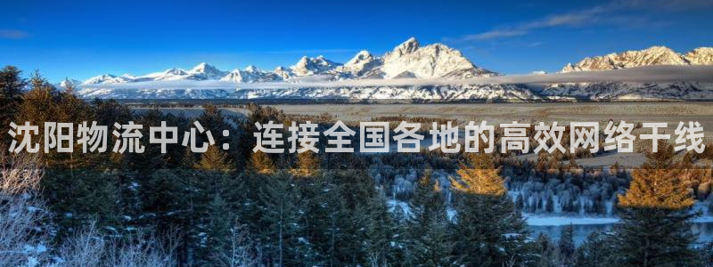 28圈口：沈阳物流中心：连接全国各地