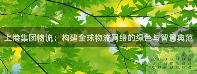 28圈注册网站链接是什么：上港集团物