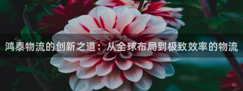 南宫28圈官网版：鸿泰物流的创新之道