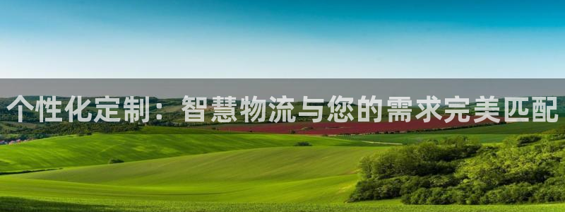 28圈是什么软件：个性化定制：智慧物