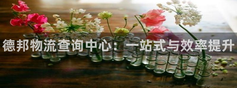 28圈模拟：德邦物流查询中心：一站式