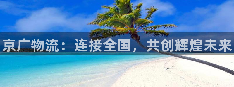 28圈p扣款什么意思：京广物流：连接