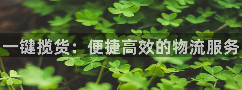 28圈注册网页版：一键揽货：便捷高效