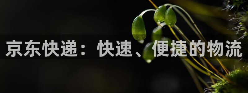 28圈注册平台：京东快递：快速、便捷的物流