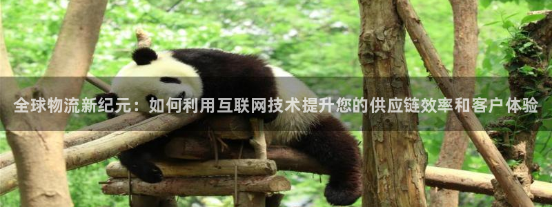 28圈登录流程：全球物流新纪元：如何