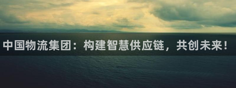 28圈是正规软件吗：中国物流集团：构