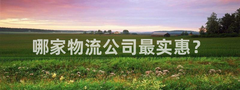 28圈注册网站：哪家物流公司最实惠？