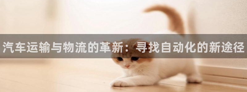 28圈官方官网：汽车运输与物流的革新