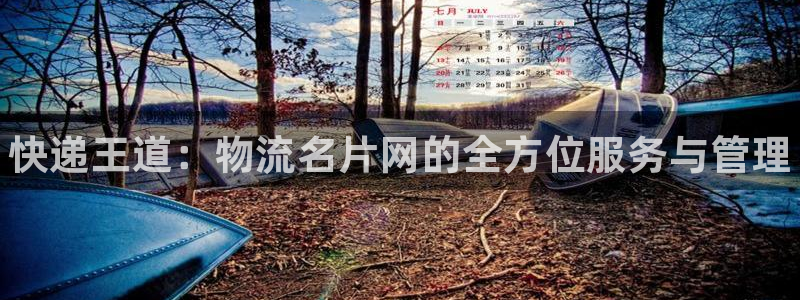 28圈反水：快递王道：物流名片网的全