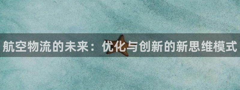 28圈比特28真实吗：航空物流的未来
