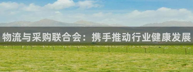 28圈网赌案件：物流与采购联合会：携